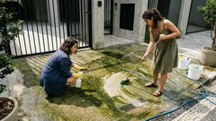 Como tirar limo do cimento com segurança: 3 métodos que realmente funcionam