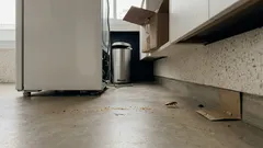 Como acabar com a barata francesinha: o que funciona de verdade na cozinha e no banheiro