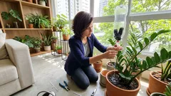 Como fazer um gotejador caseiro para regar plantas e viajar sem preocupação