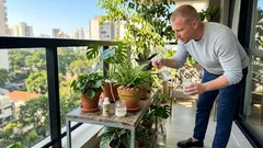 5 truques caseiros para cuidar das plantas e controlar pragas sem gastar muito