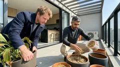 Como proteger as plantas do calor: horários de rega e 5 cuidados que funcionam no verão