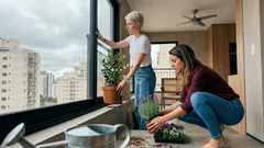 Plantas perfumadas: 7 opções para deixar a casa cheirosa sem spray