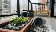 Cinza de madeira no jardim: 5 usos práticos, benefícios e cuidados