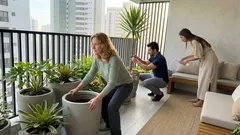 Plantas resistentes ao vento: 8 opções para varanda e jardim em áreas expostas