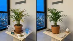 Palmeiras de interior: guia prático para deixar a casa tropical sem complicação