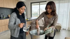 Água de eucalipto na limpeza: ritual simples para deixar a casa cheirosa