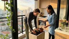 Como enraizar rosa de buquê: 3 formas simples para transformar a flor em muda